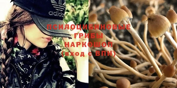ГАЛЛЮЦИНОГЕННЫЕ ГРИБЫ Балабаново