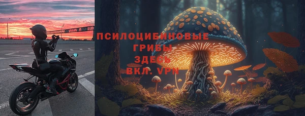 дмт Баксан